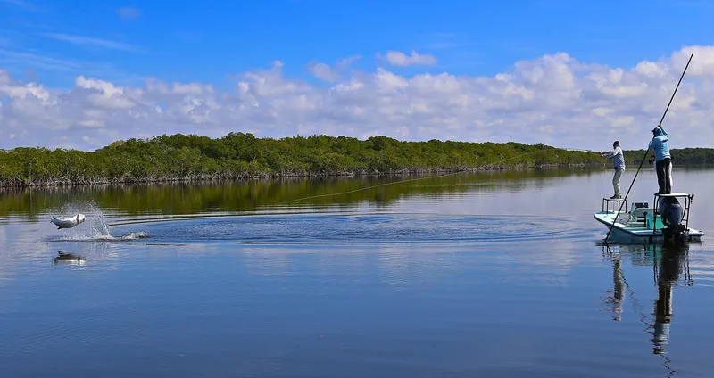 Slide: The Image of Maverick 17 HPX-V 2026 - 10