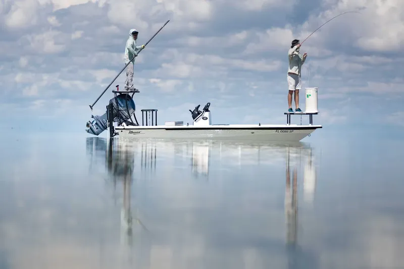 Slide: The Image of Maverick 17 HPX-V 2026 - 14