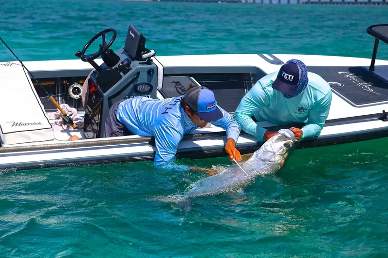 Slide: The Image of Maverick 17 HPX-V 2026 - 18