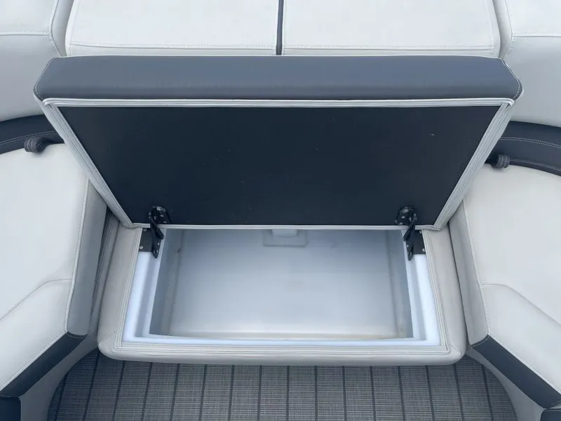 Slide: The Image of Sylvan G-3 DLZ DC 2024 - 17