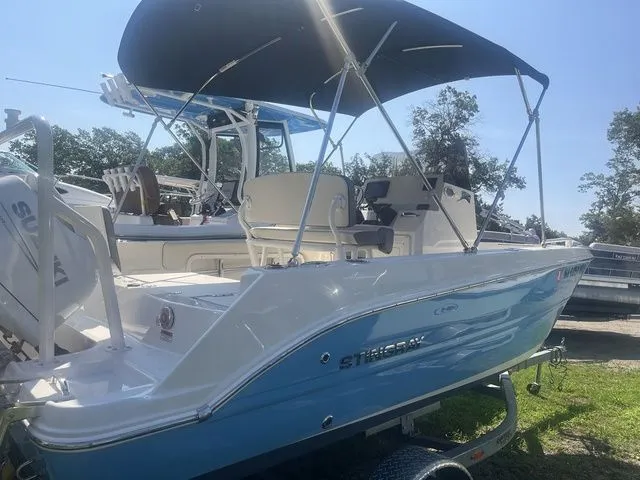 Slide: The Image of Stingray 173CC 2024 - 4