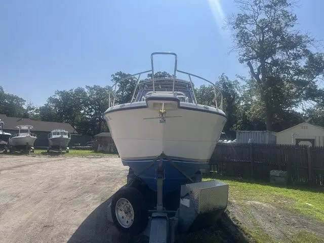 Slide: The Image of Shamrock 2900 WA 2003 - 3