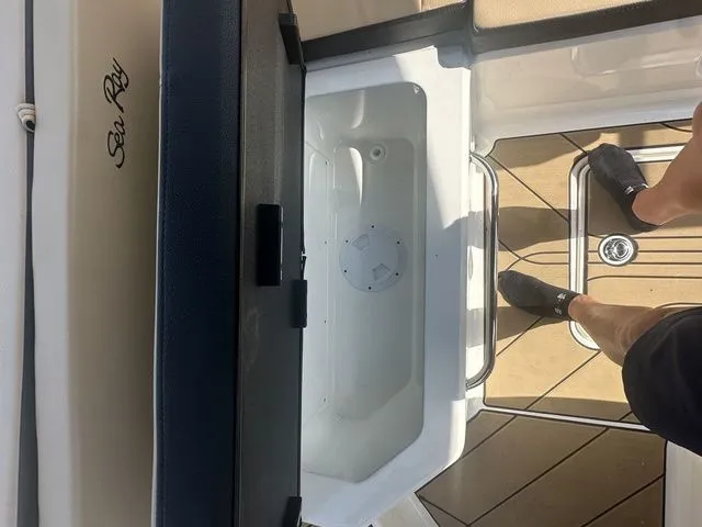 Slide: The Image of Sea Ray SPX 190 2024 - 14