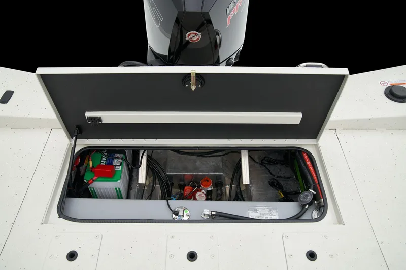 Slide: The Image of Ranger Boats RB210 2025 - 61