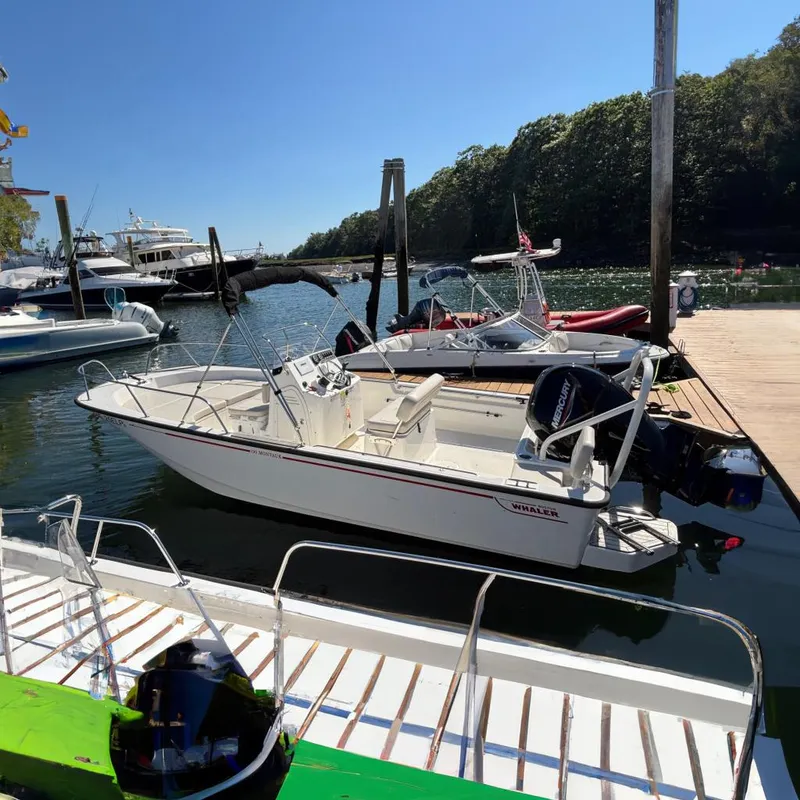 Slide: The Image of Boston Whaler 190 Montauk 2023 - 2