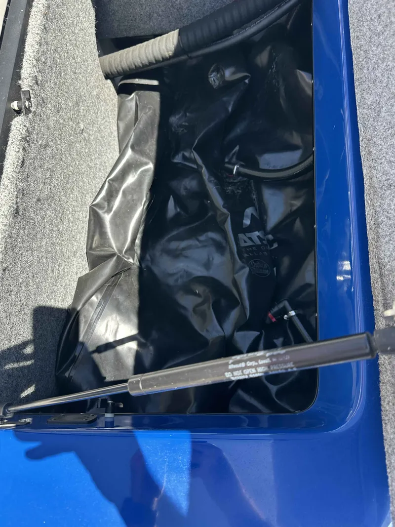 Slide: The Image of Sanger V215 2006 - 11