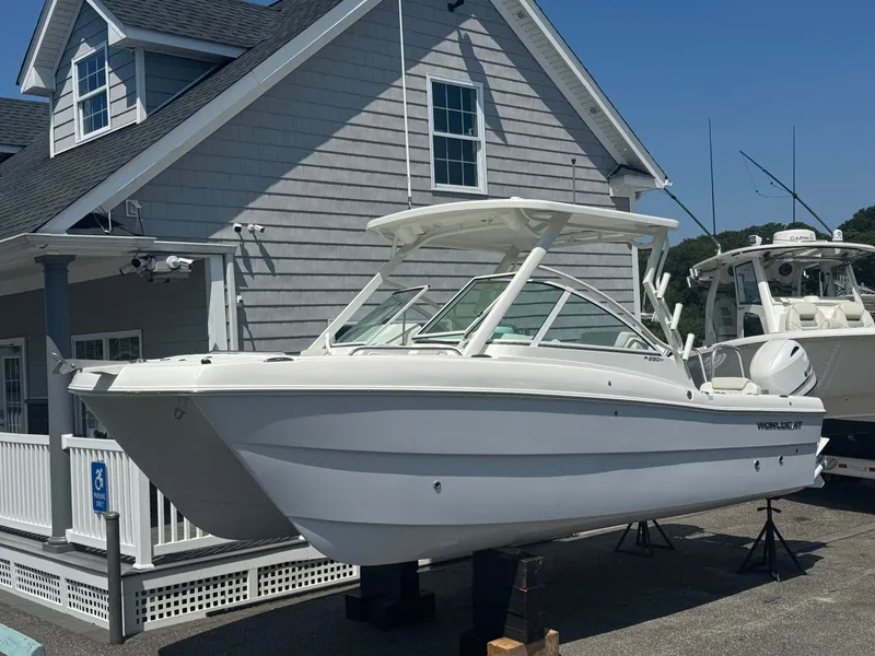 The Image of World Cat 230 DC 2026 - 1