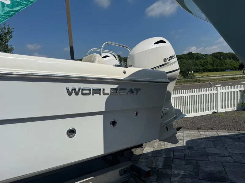 Slide: The Image of World Cat 230 DC 2026 - 4