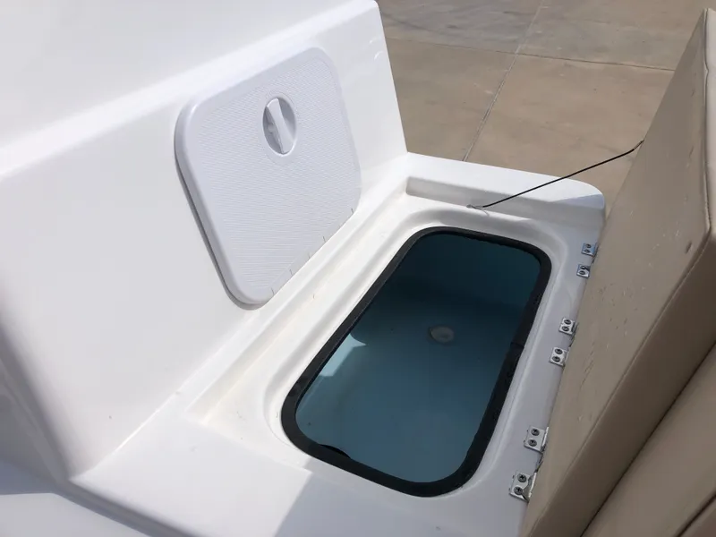 Slide: The Image of Shoalwater 23 Cat 2025 - 19