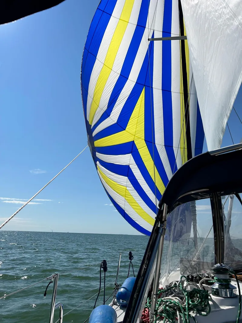 Slide: The Image of Sailing on a 2007 Catalina 309 with vibrant blue and yellow spinnaker. - 6