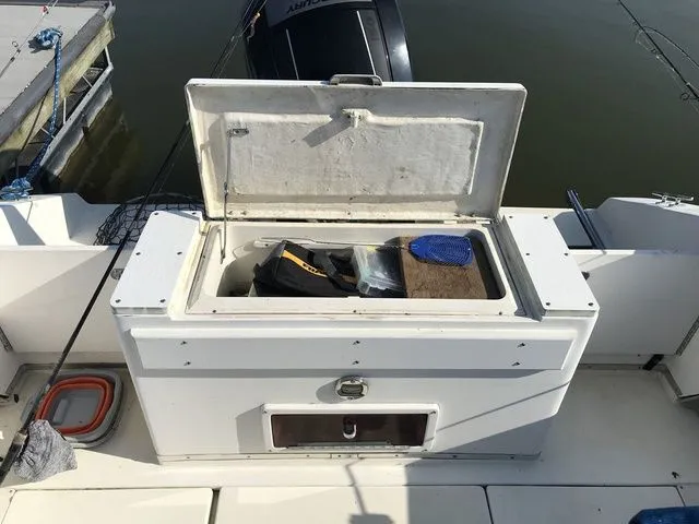 Slide: The Image of Sea Ray Laguna 21 1991 - 17