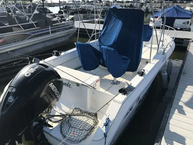 Slide: The Image of Sea Ray Laguna 21 1991 - 4