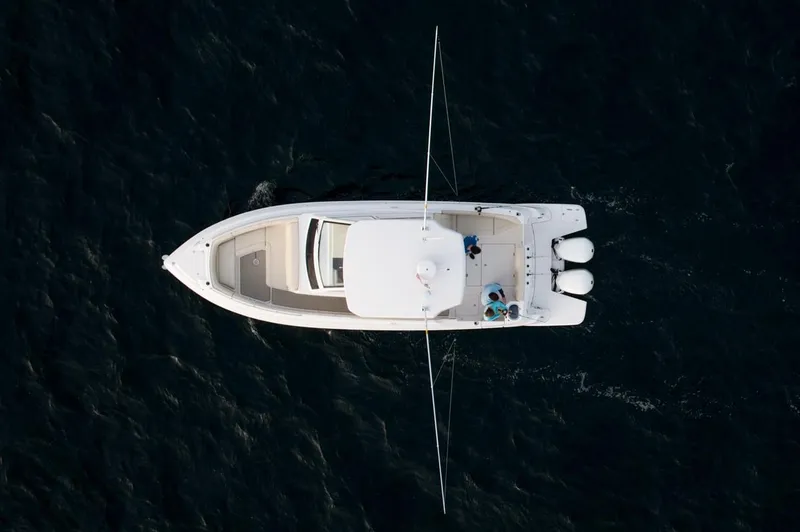 Slide: The Image of Manufacturer Provided Image: Aerial view of a 2019 Regal 33 SAV boat on dark water. - 44