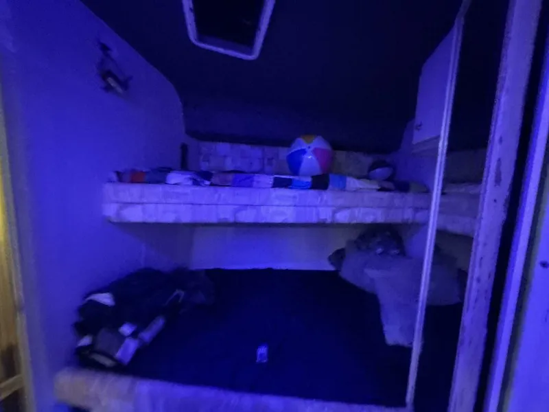 Slide: The Image of Sea Ray 500 Sundancer 1996 - 79