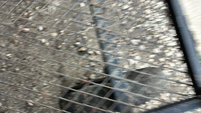 Slide: The Image of Tracker 1754 JON 2025 - 23