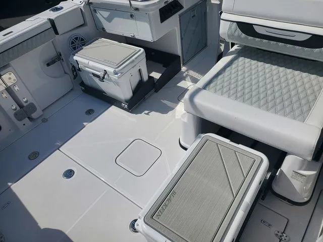 Slide: The Image of Blackfin 302DC 2024 - 27