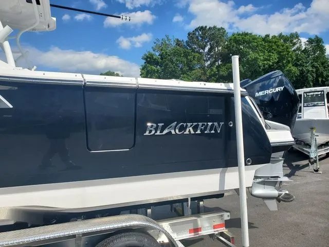 Slide: The Image of Blackfin 302DC 2024 - 5