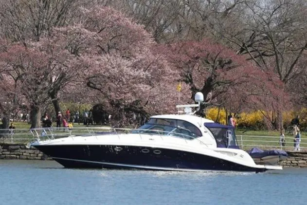 The Image of 2004 Sea Ray 420 Sundancer yacht cruising near blooming cherry blossom trees. - 0