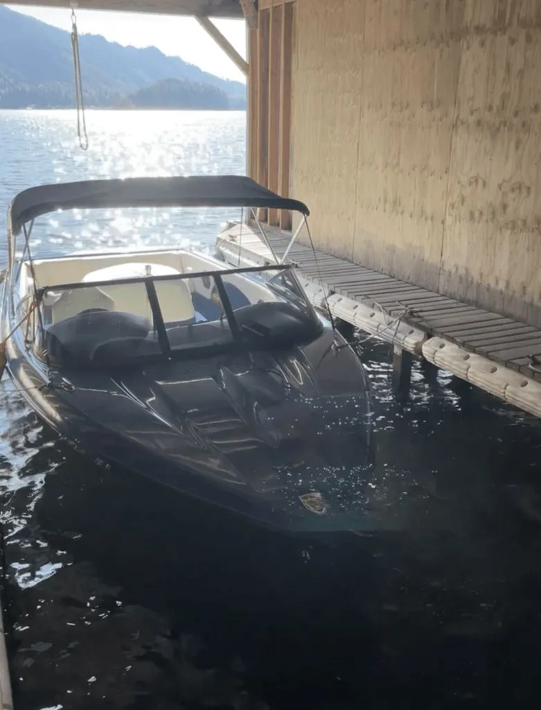 Slide: The Image of Corvette 24 1998 - 12