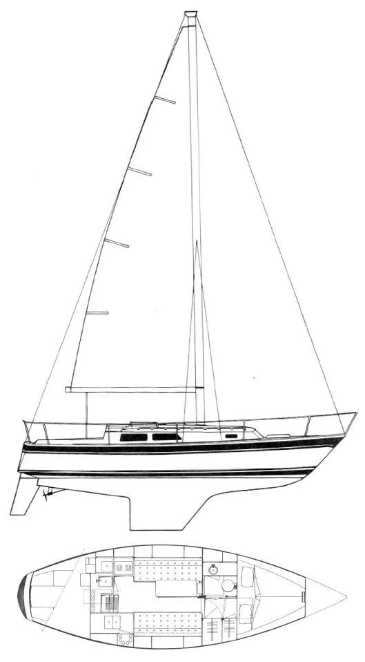 Slide: The Image of Line drawing of a 1984 CAL 31 sailboat, side and top views, showcasing design and layout. - 21