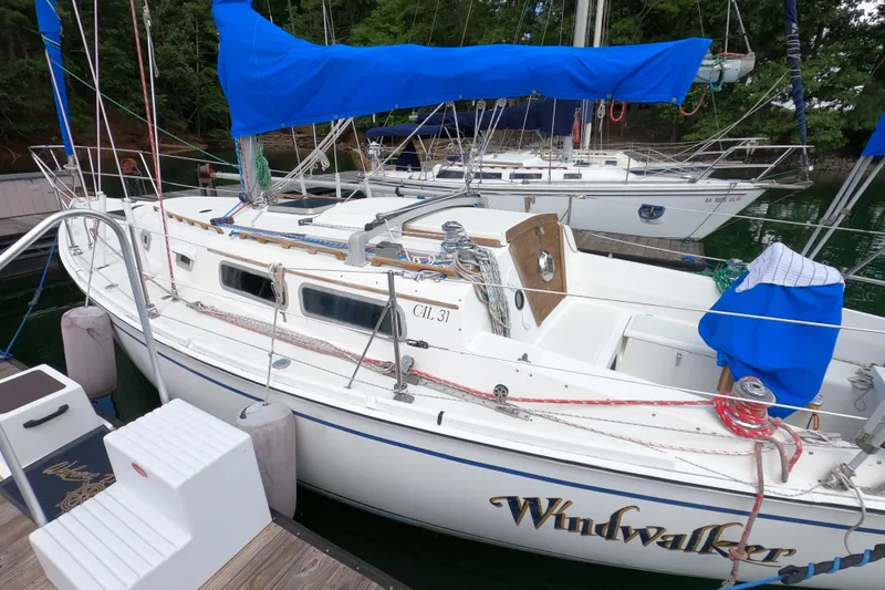 Slide: The Image of Sailboat "Windwalker" docked, CAL 31 model, 1984, with blue covers and wooded surroundings. - 3