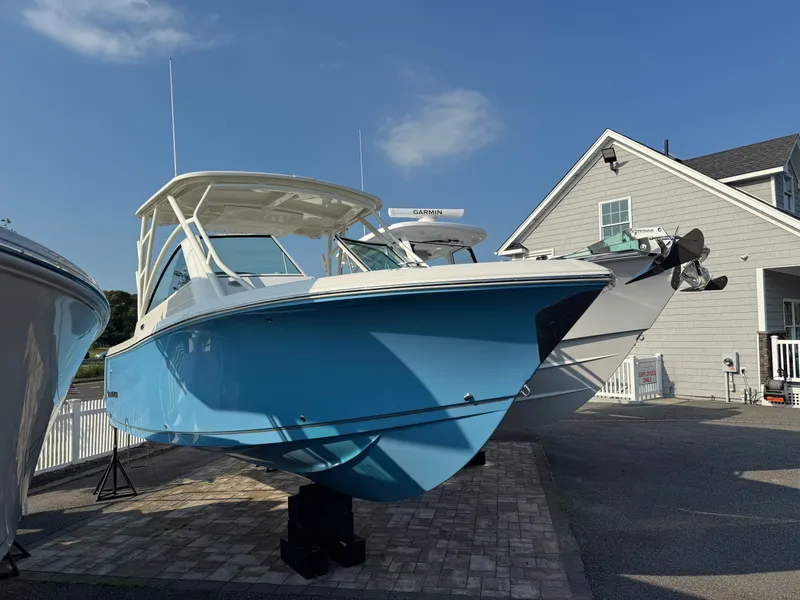 The Image of Sailfish 245 DC 2026 - 1