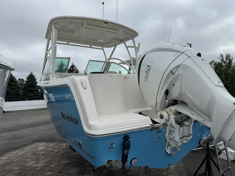 Slide: The Image of Sailfish 245 DC 2026 - 4