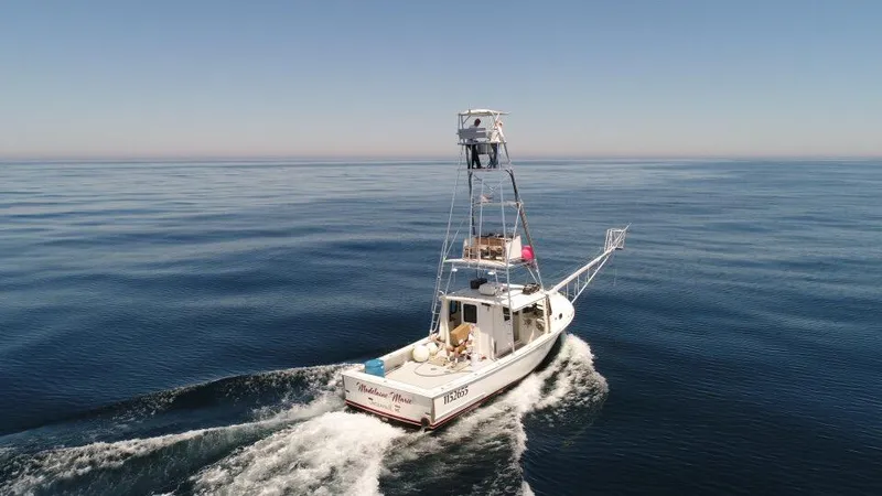 Slide: The Image of 2003 BHM Sport Fish boat cruising on calm ocean waters under clear skies. - 37