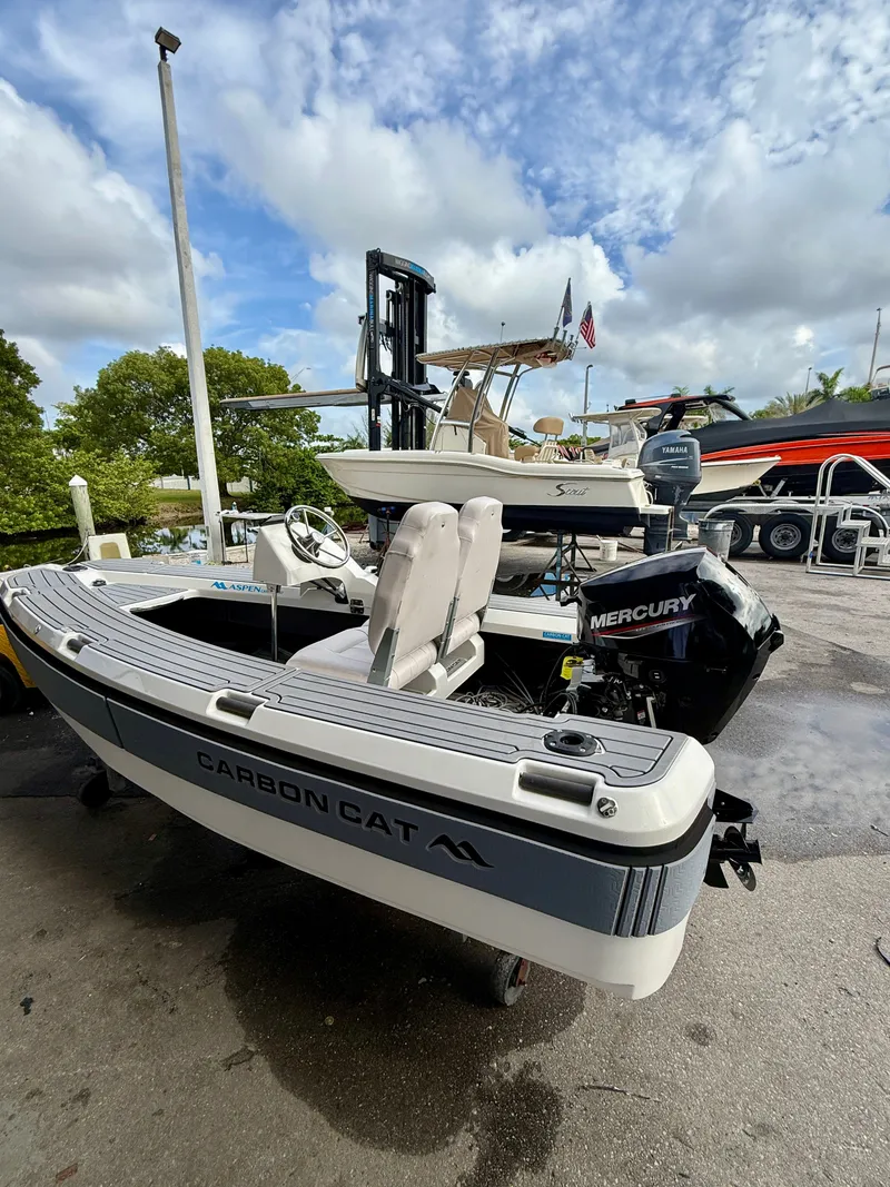 Slide: The Image of Aspen Carbon Cat T11C 2025 - 1