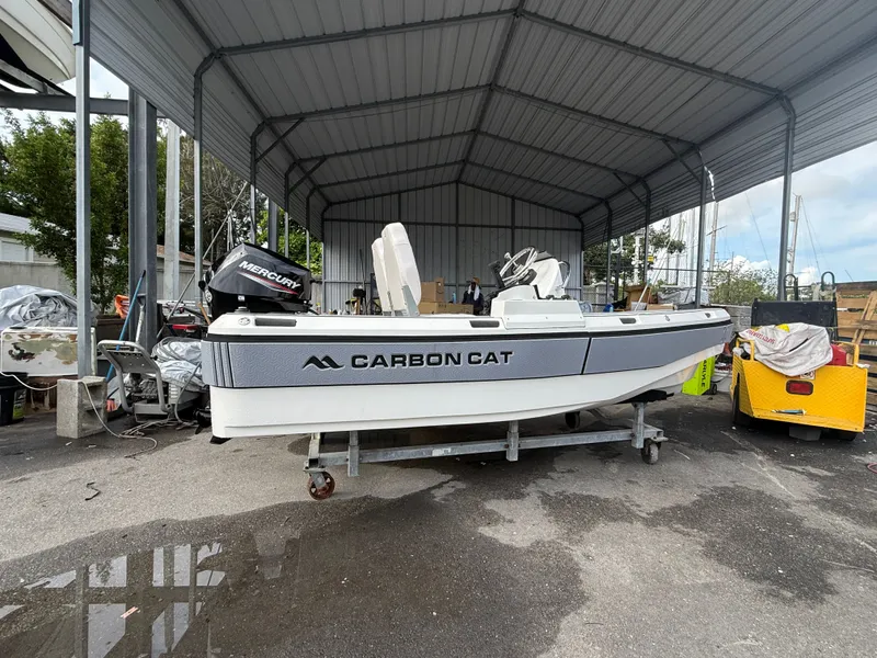 Slide: The Image of Aspen Carbon Cat T11C 2025 - 2