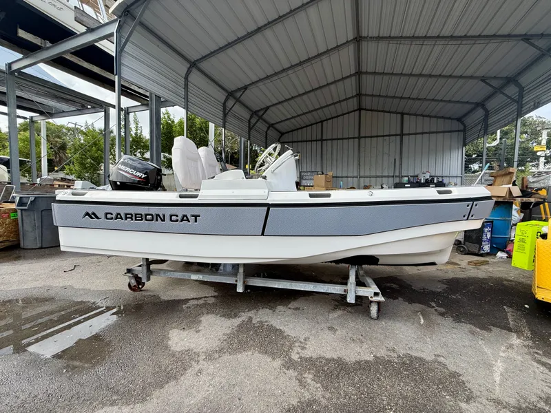 Slide: The Image of Aspen Carbon Cat T11C 2025 - 3