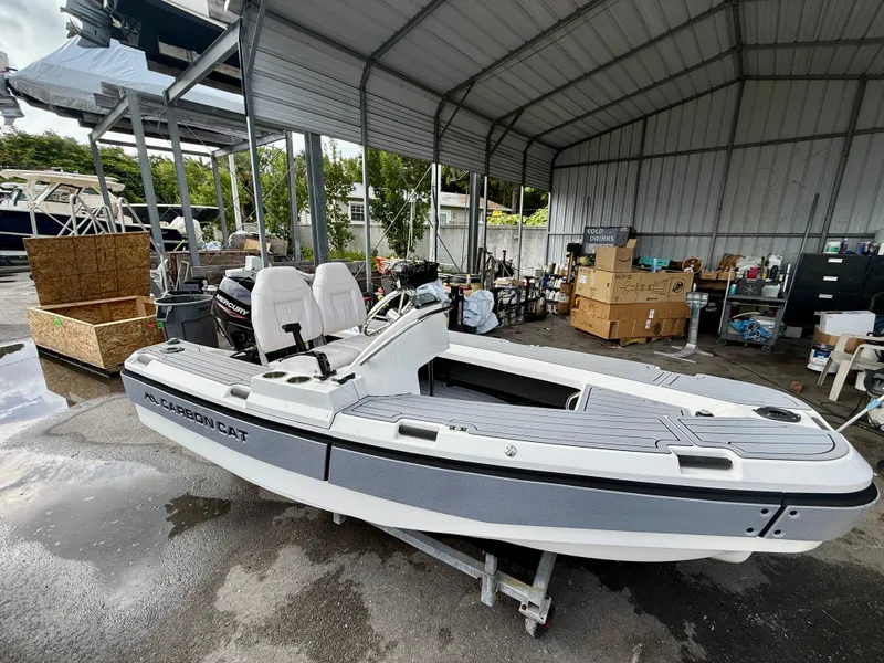 Slide: The Image of Aspen Carbon Cat T11C 2025 - 4