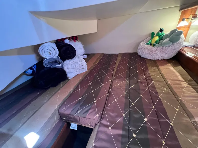 Slide: The Image of Interior cabin of 2004 Carver 420 Mariner with cozy bedding and plush toys. - 28
