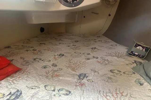 Slide: The Image of Cozy cabin interior of 1987 Hunter 35 sailboat with patterned bedding. - 33
