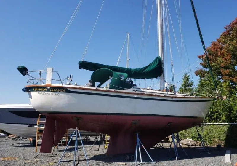 Slide: The Image of Southern Cross 39 1980 - 2