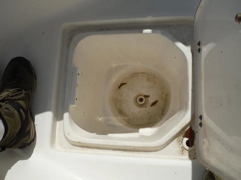 Slide: The Image of Livewell on 2017 Sea Fox 266 Commander boat, partially open, with shoe visible. - 34