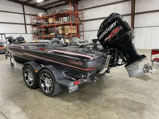 Slide: The Image of Bass Cat Puma FTD Silhouette 2015 - 16