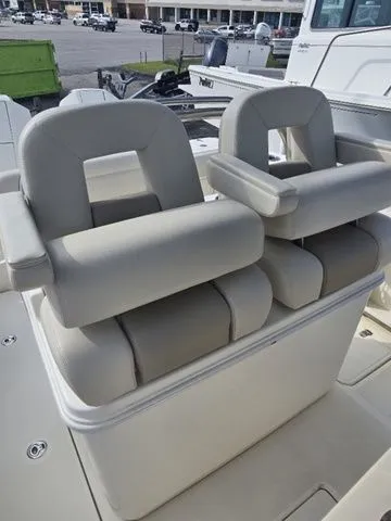 Slide: The Image of Boston Whaler 250 Outrage 2022 - 8
