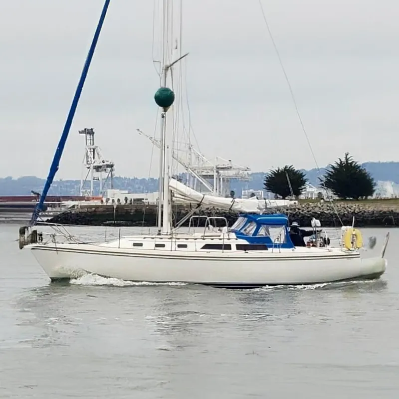 The Image of LONG WINDED - 0