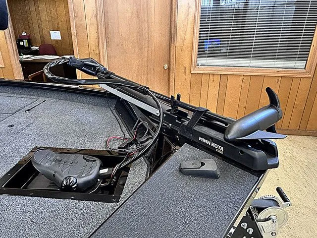 Slide: The Image of Lowe Stinger 175C 2026 - 3