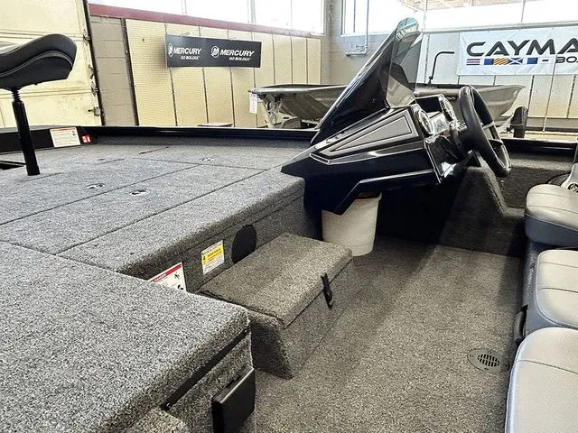 Slide: The Image of Lowe Stinger 175C 2026 - 5