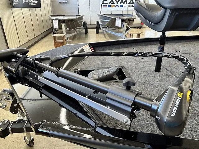 Slide: The Image of Lowe Stinger 175C 2026 - 7