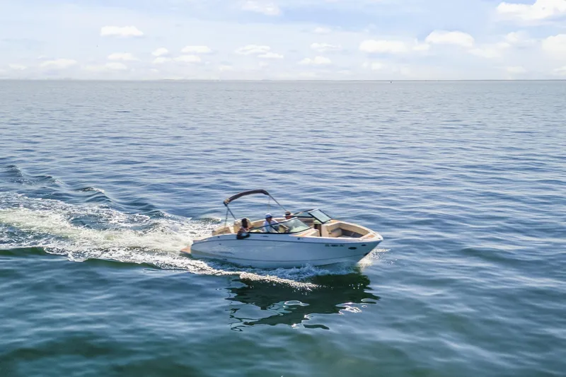 Slide: The Image of 2019 Regal LS4 boat cruising on open water under a clear sky. - 23