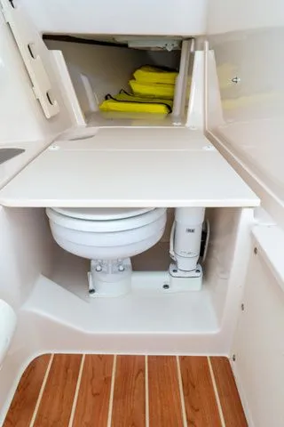 Slide: The Image of Grady-White Freedom 307 2024 - 22