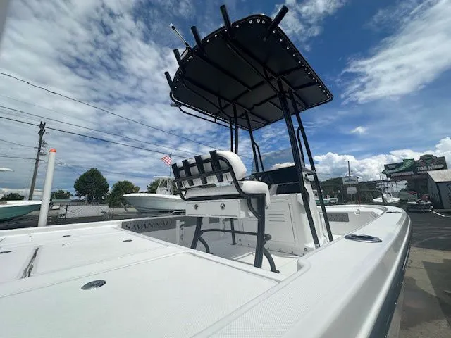 Slide: The Image of Savannah 220IS 2026 - 4