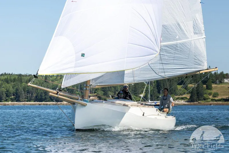 Slide: The Image of Sailboat AREY's XFC-22, 2022 model, sailing on a sunny day with lush green shoreline. - 4