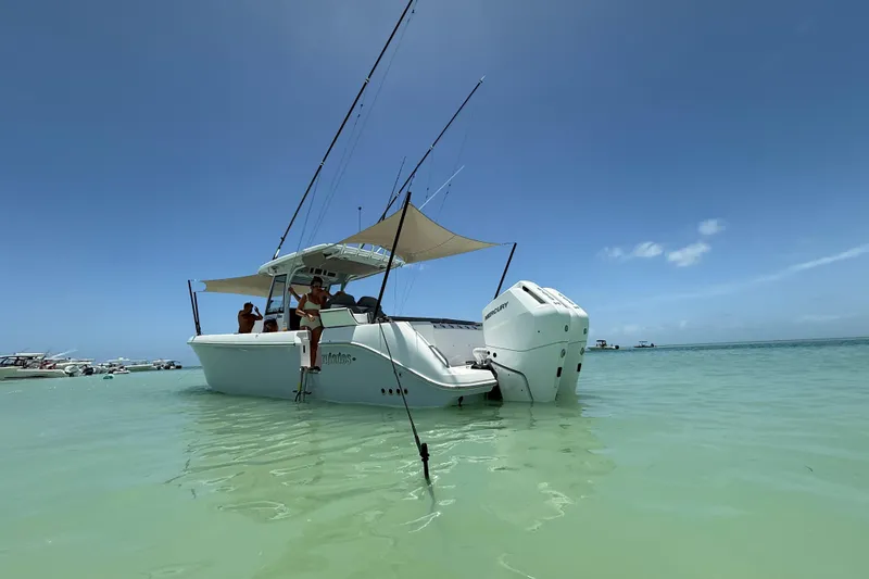 Slide: The Image of 2024 Everglades 315 Center Console boat anchored in clear, shallow water under a sunny sky. - 23