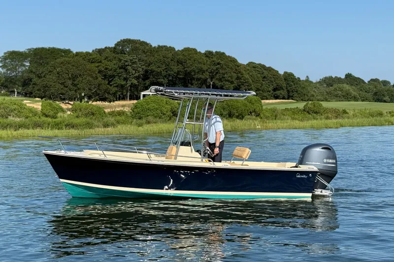 The Image of 2026 Rossiter 17 boat on calm water with lush green shoreline background. - 1