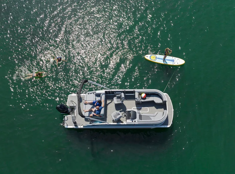 Slide: The Image of Harris Solstice 230 2026 - 5