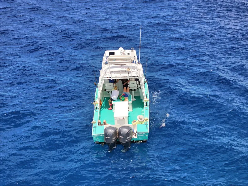 Slide: The Image of Custom Ocean Master 2018 boat cruising on vibrant blue ocean waters. - 4